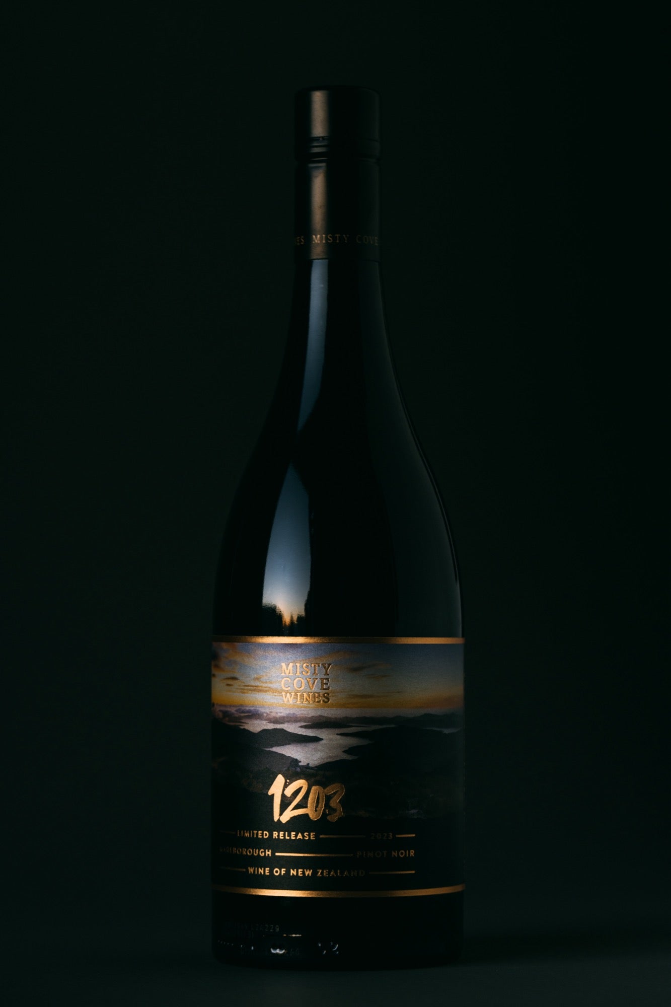 Pinot Noir — poured and enjoyed